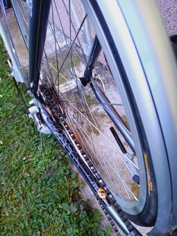 Kolo Author Legend - 4