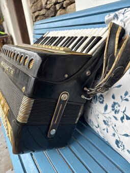 Harmonika Delicia - 4