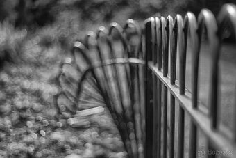 Meyer-Optik Gorlitz Oreston 50mm F1.8 M42 - 4