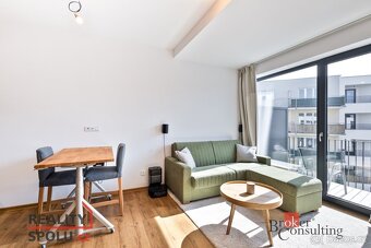 Pronájem, byty/1+kk, 31 m2, Železná 3061/12, Jižní Předměstí - 4