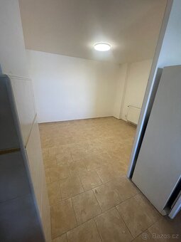Pronájem bytu 2 + kk - Dolany Nehošť - 4