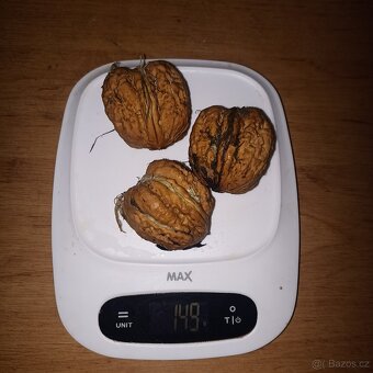 Ořechy papirače - 4