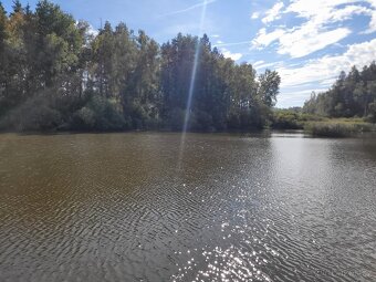 Prodej rybníku (vodní plochy) 21990 m² Horní Ves - 4