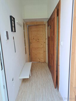 Prodej prostorného bytu 1+1 42 m², Brno-Královo Pole - 4