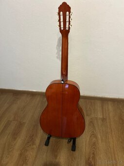 OSCAR SCHMIDT OC1-A - 4