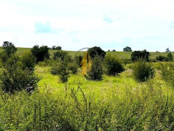 Prodej stavebního pozemku určeného k výstavbě rodinného venk - 4