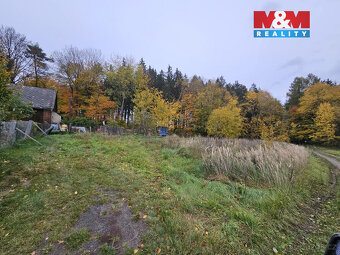Prodej louky, 922 m², Hynčina - 4