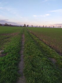 Pozemek Kobylnice u Brna - 4