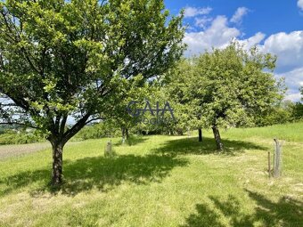 Hroznová Lhota - Ovocný sad pod Bílými Karpaty - 4104m2 - 4