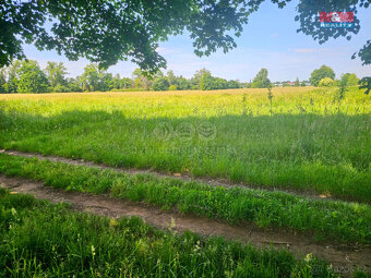 Prodej zahrady u Labe, 1070 m², Hradec Králové - 4