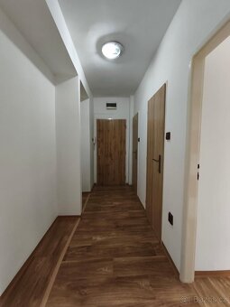 Prodej bytu 2+1, 49 m² – kompletní rekonstrukce, Jirkov - 4