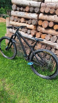 Dartmoor primal 2021 - 4