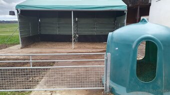 Ustájení v rodinné stáji - 4