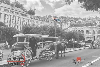 Prodej, byty/3+kk, 137 m2, Divadelní náměstí 2132/19, 36001  - 4