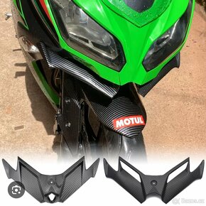 Ninja 300 spoiler - 4
