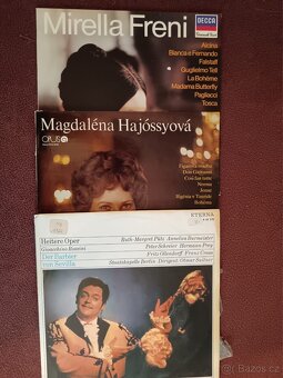 gramofonové desky - vinyl - 4