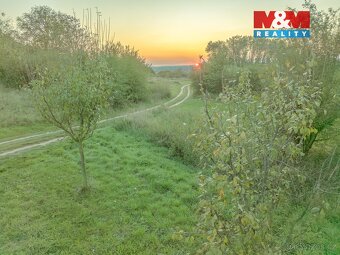 Prodej ovocného sadu, 2885 m², Ostrožská Nová Ves - 4