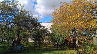 Dlouhodobý pronájem zahrady - 4