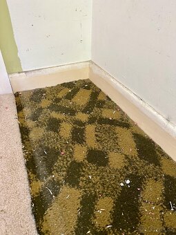 Prodám mé dědictví (viz obrázky )cena dohodou - 4