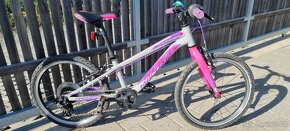 ROCK MACHINE THUNDER 20" - 4