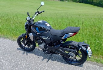 CFmoto 300 CL-X - 4