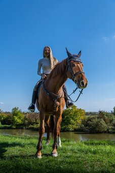 Mladá kobylka s polovičným pôvodom - 4