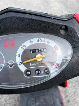 Biaginni 50s - 4