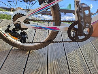 Superior Paint 20"- PĚKNÉ - 4