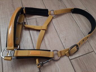 Eskadron ohlavka a tasticka na cisteni - 4