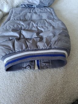 Vesta Taurus vel. 4r - 4