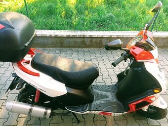 Kentoya 125 cm, r.v.2016 - 4