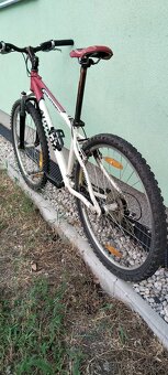CTM Terrano a Author Salution - 4