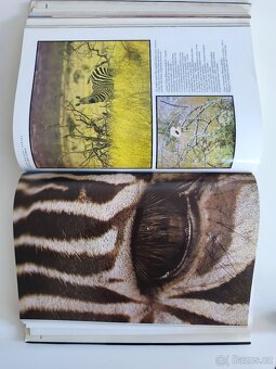 Afrika – Život a smrt zvířat (Josef Vágner, 1987) - 4