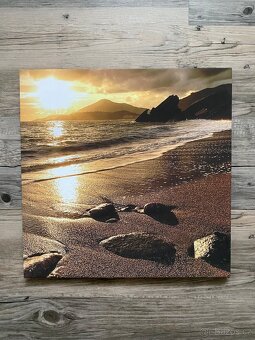 Různé obrazy - ceny a rozměry v textu - 4