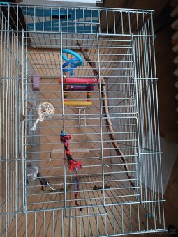 Krásná velká klec pro andulky papoušky. - 4