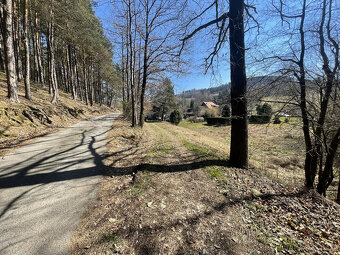 Prodej zahrady v Janovicích u Sušice 782 m2 - 4