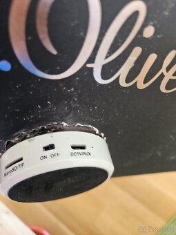 Reproduktor vlastní výroby - 4