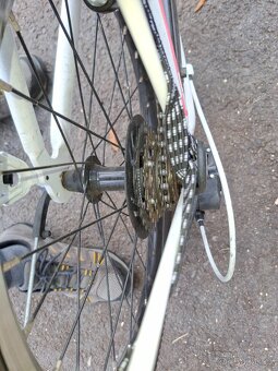 Dětské kolo AREZZO 20” GIRL - 4