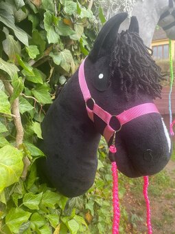 Hobby horse - 4