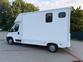 Peugeot boxer na přepravu koní - 4