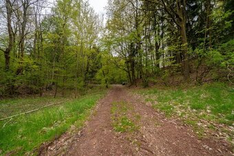 Prodej  stavebního pozemku 3156 m2 - 4