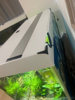 Akvarijní set Fine 200l se skříňkou - 4