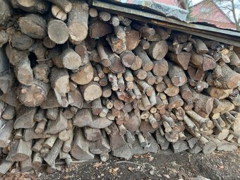 Zbytek palivového dřeva,tvrdé ,suché - 4