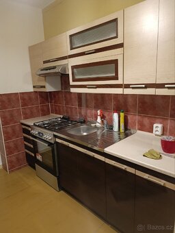 Pronájem bytu 2+1 - 4