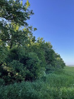 Prodám lesní pozemek v k.ú. Oplot - 4