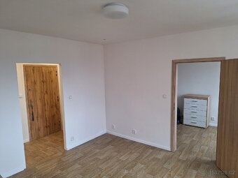 Světlý byt 2+1 v OV po rekonstrukci, 45 m², Dubina - 4