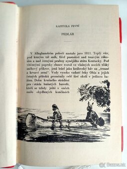 Robert Beholz - Tekumtha - 4