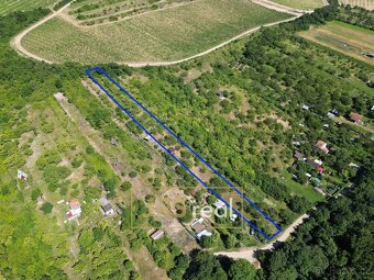Prodej pozemku - zahrady, 1 698 m2 - Pouzdřany - 4