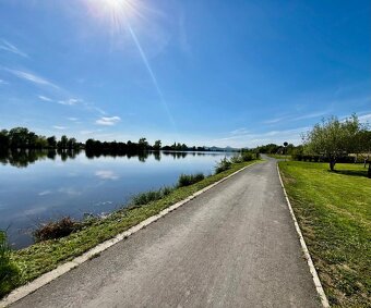 Zahrada u Labe/Pozemek u Labe/Pozemek u vody - 4
