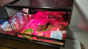 Terárium 60x45x45 - 4